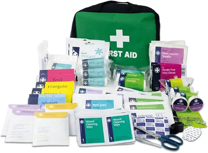 Lewis-Plast First Aid Kit Bag - 309 Piece Survival Kits - Safety Essentials for Travel Car Home Camping Work Hiking,Green